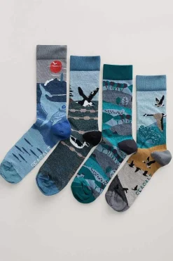 Socks<Seasalt Cornwall Box Of 4 Men's Postcard Socks Windyridge Mix