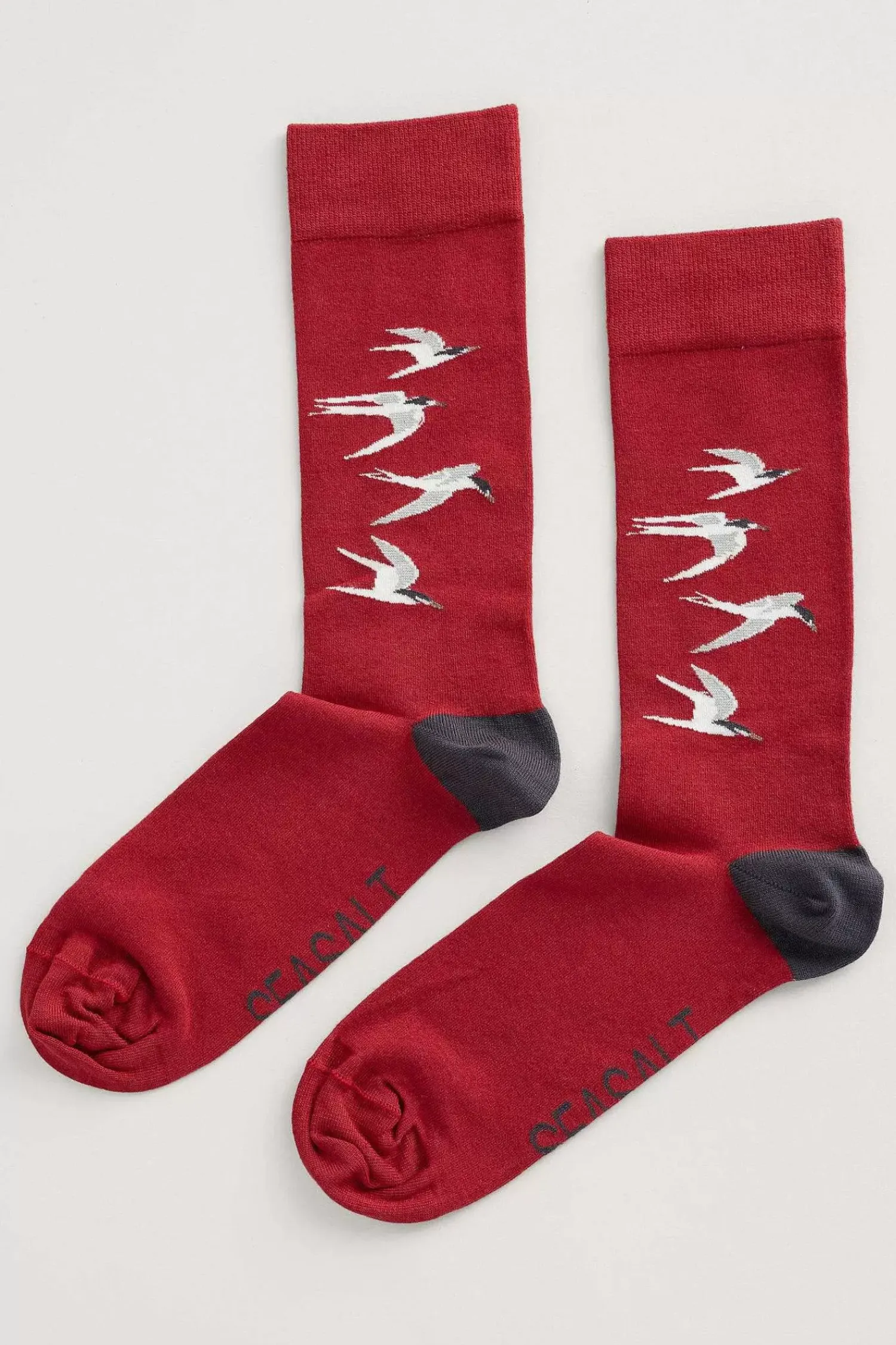Socks<Seasalt Cornwall Men's Arty Organic Cotton Socks Spirit Sail Raincloud