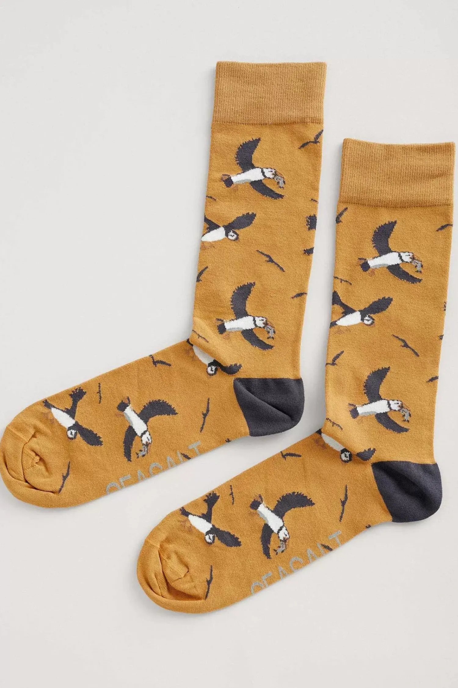 Socks<Seasalt Cornwall Men's Arty Organic Cotton Socks Spirit Sail Raincloud